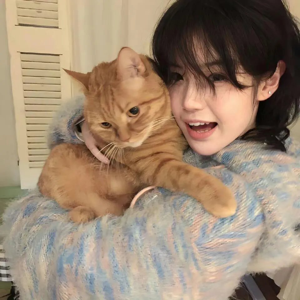 游戏王：真红眼黑龙