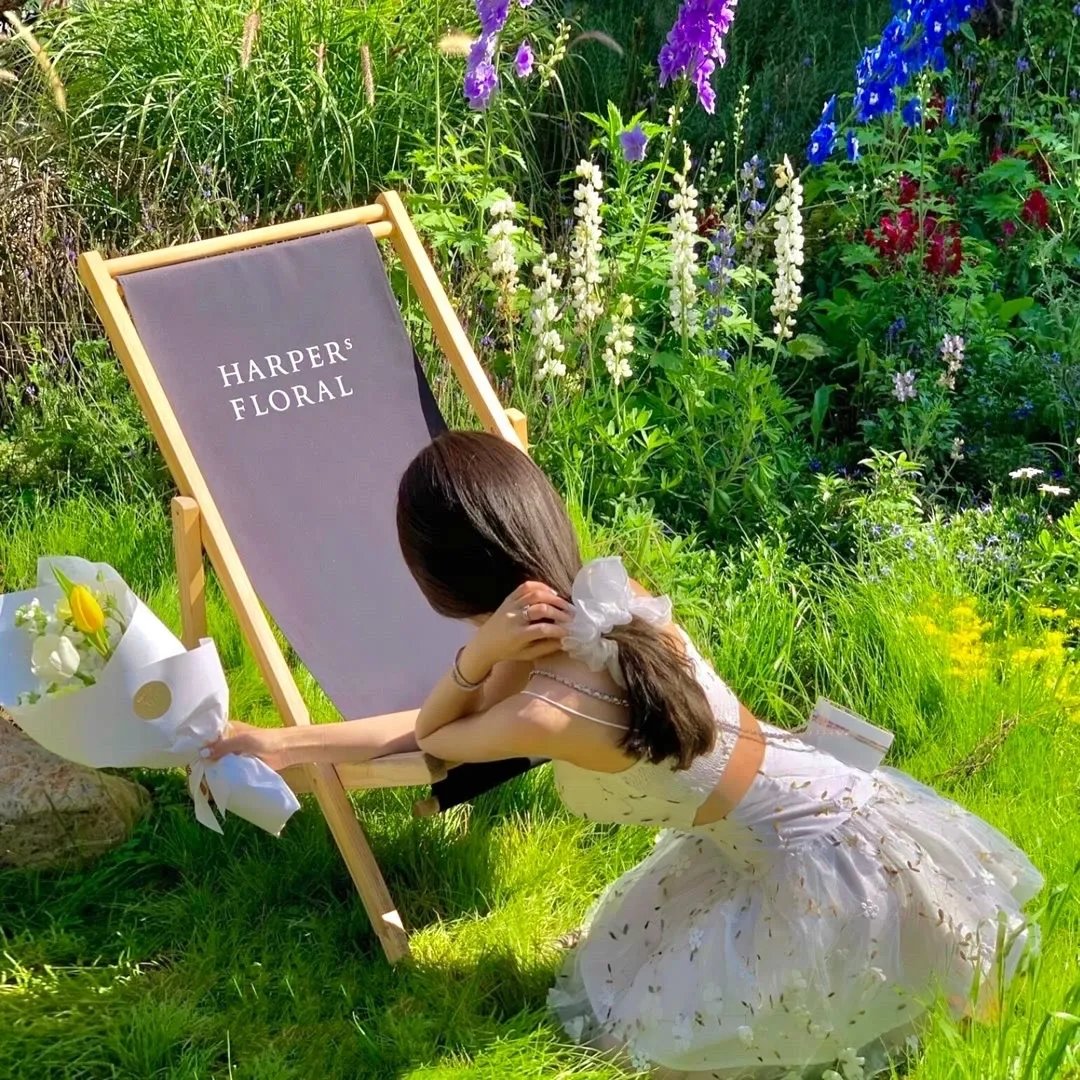 腹黑王爷：惹不起的下堂妻